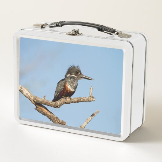 Lunch Box Kingfisher géant (Devant)