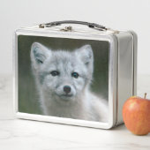 Lunch Box Kit de Fox arctique des images | de Getty (En situation)