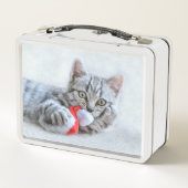 Lunch Box Kitten (Dos)