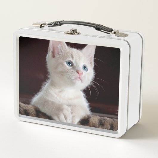 Lunch Box Kitten blanc vulnérable (Devant)