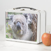 Lunch Box Koala (En situation)