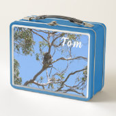 Lunch Box Koala Nap (Devant)