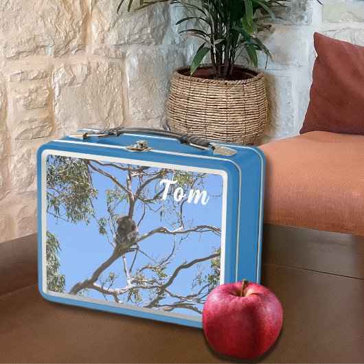 Lunch Box Koala Nap