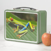 Lunch Box La grenouille longue (En situation)