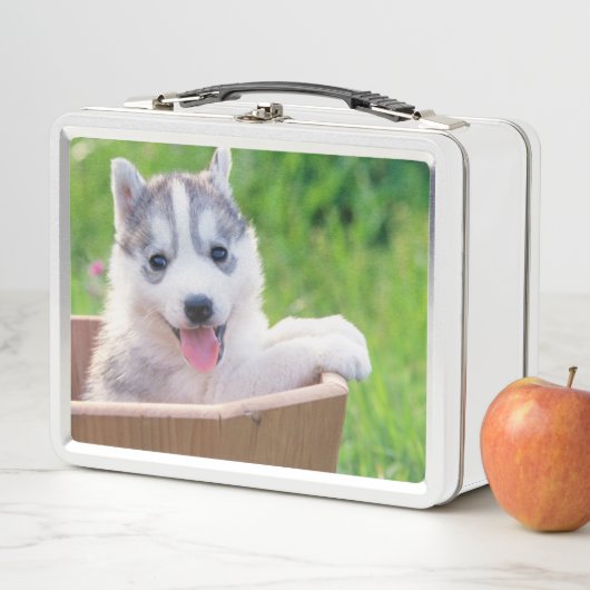 Lunch Box La marionnette sibérienne Husky dans un pot (En situation)