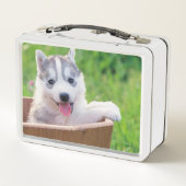Lunch Box La marionnette sibérienne Husky dans un pot (Dos)