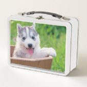 Lunch Box La marionnette sibérienne Husky dans un pot (Devant)