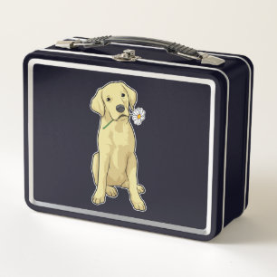 Lunch Box Labrador Daisy