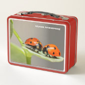 Lunch Box Lady Bugs (Dos)