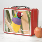 Lunch Box Lady Gouldian Finch (En situation)