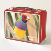Lunch Box Lady Gouldian Finch (Dos)