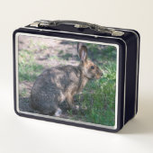 Lunch Box Lapin Brown, Repos dans la nature (Dos)