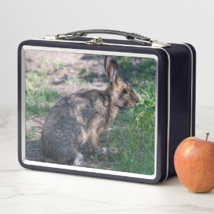 Lunch Box Lapin Brown, Repos dans la nature