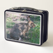 Lunch Box Lapin Brown, Repos dans la nature (Devant)