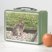 Lunch Box Lapin sauvage près du Jardin, boîtes à lunch (En situation)