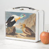 Lunch Box Le canard roi Eider des oiseaux d'Amérique (Audubo (En situation)