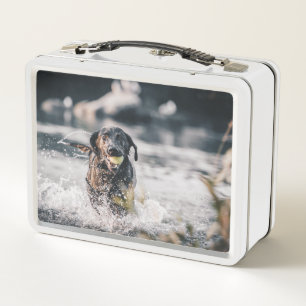 Lunch Box Le Labrador Noir Joue Dans L'Eau