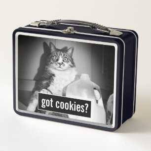 Lunch Box Le Lait De Chat De Juge