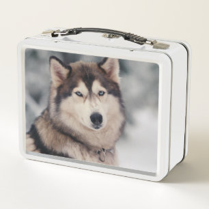 Lunch Box Le magnifique Husky en plein air