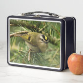 Lunch Box Le mignon oiseau chanteur Kinglet provoque un remu (En situation)