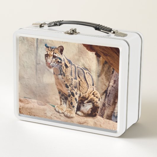 Lunch Box léopard nébuleux image nature faune exotique (Devant)