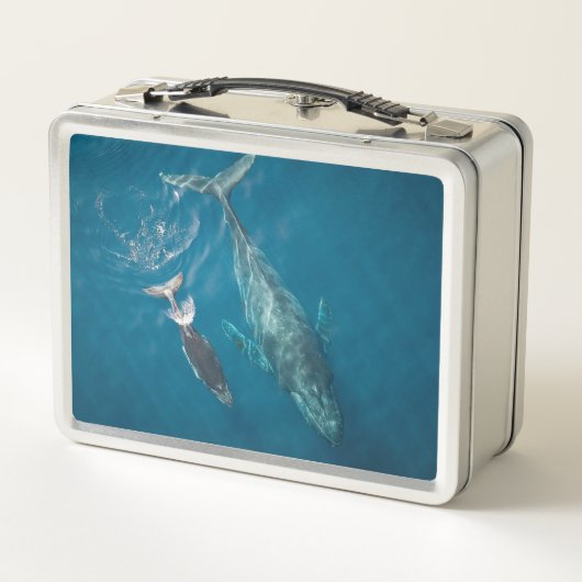 Lunch Box Les baleines (Dos)