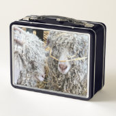 LUNCH BOX LES CHÈTES FRAÎCHES (Dos)