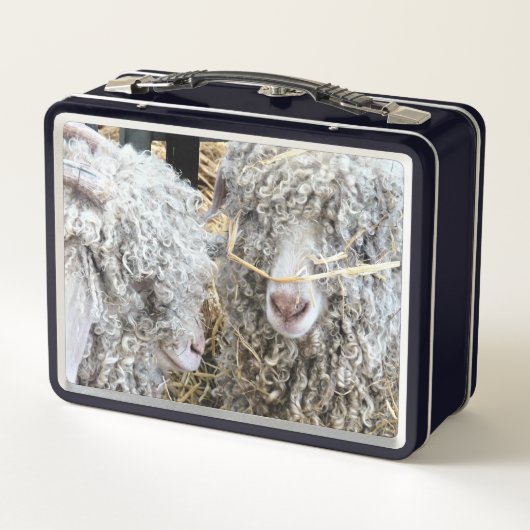 LUNCH BOX LES CHÈTES FRAÎCHES (Dos)