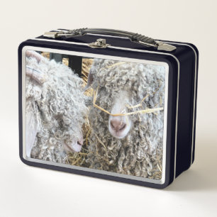 LUNCH BOX LES CHÈTES FRAÎCHES