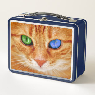 Lunch Box Les plots réflectorisés coloré