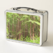 Lunch Box Les séquoias au monument national de Muir Woods (Dos)