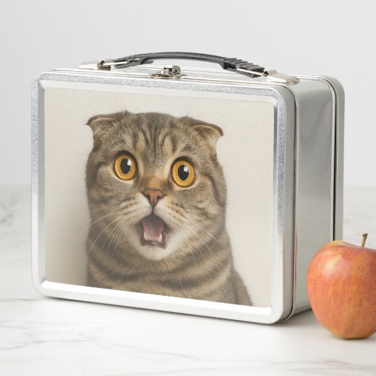 Lunch Box Lesbiennes Mangent Quoi de Drôle (En situation)