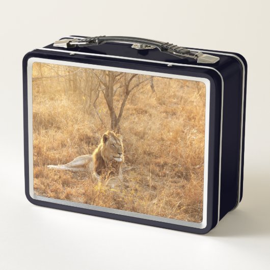 Lunch Box Lion (Dos)