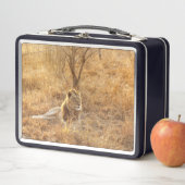 Lunch Box Lion (En situation)