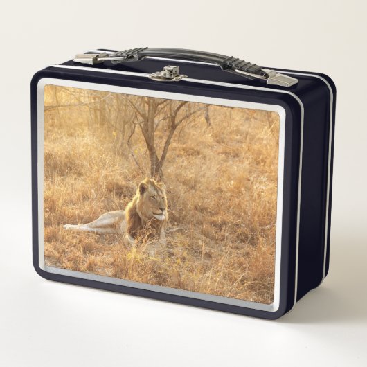 Lunch Box Lion (Devant)