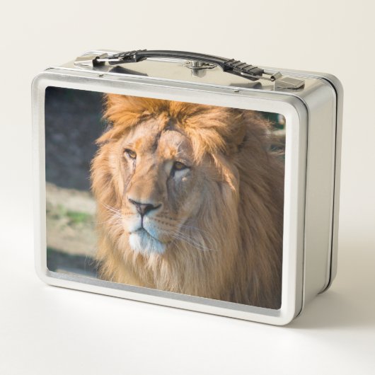 Lunch Box Lion 013 (Dos)