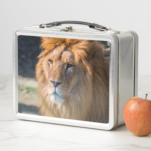 Lunch Box Lion 013 (En situation)