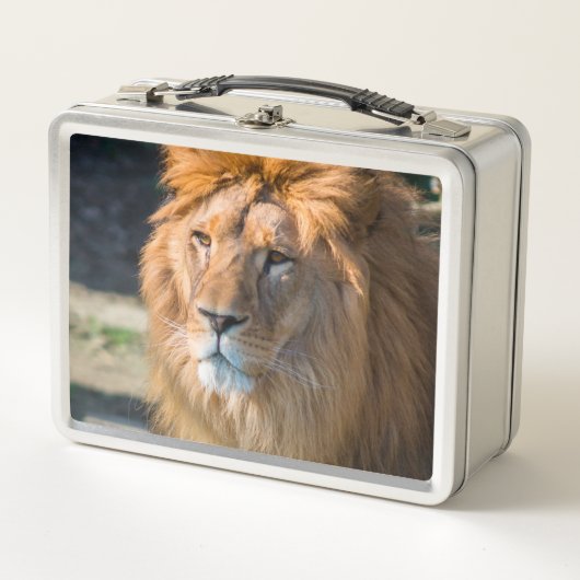 Lunch Box Lion 013 (Devant)