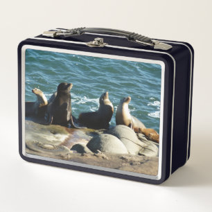 Lunch Box Lions de la mer de San Diego
