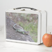 Lunch Box Lizard (En situation)