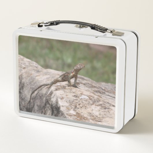 Lunch Box Lizard (Dos)