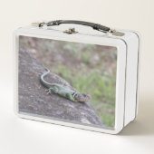 Lunch Box Lizard (Devant)