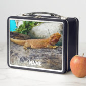 Lunch Box Lizard de dragon à tête adulte (En situation)