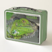 Lunch Box Lizard de fermeture photo Iguana vert (Dos)