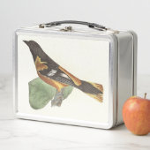 Lunch Box L'Oriole d'Or ou de Baltimore (Icterus galbula) (En situation)
