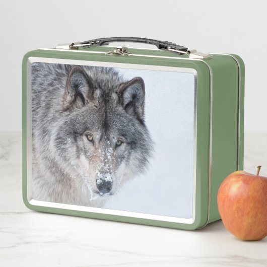 Lunch Box Loup de bois (En situation)