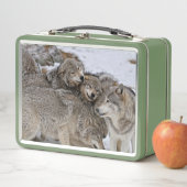 Lunch Box Loup de bois de l'Est (En situation)