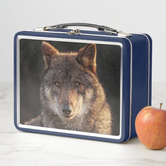 Lunch Box Loup solitaire (En situation)