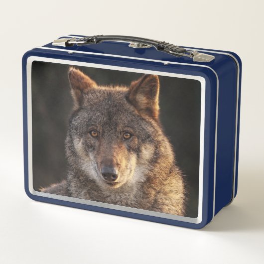 Lunch Box Loup solitaire (Dos)