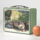 LUNCH BOX LOUTRES (En situation)
